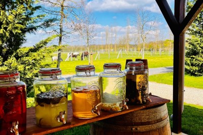 Assiette gastronomique avec une entrée raffinée composée de légumes, sauce jaune et décoration florale comestible.
