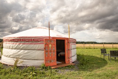 Assiette gastronomique avec une entrée raffinée composée de légumes, sauce jaune et décoration florale comestible.