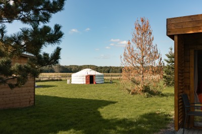 Assiette gastronomique avec une entrée raffinée composée de légumes, sauce jaune et décoration florale comestible.