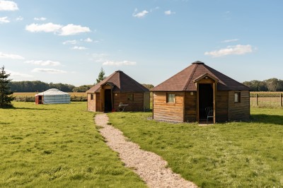 Assiette gastronomique avec une entrée raffinée composée de légumes, sauce jaune et décoration florale comestible.