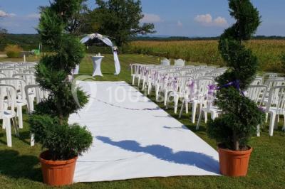 Location salle Saint-André-sur-Vieux-Jonc (Ain) - Le Domaine Du Cuiset #27