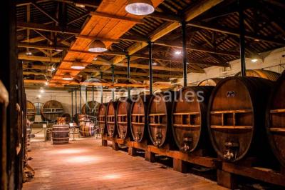 Location salle Marseillan (Hérault) - Noilly Prat #24