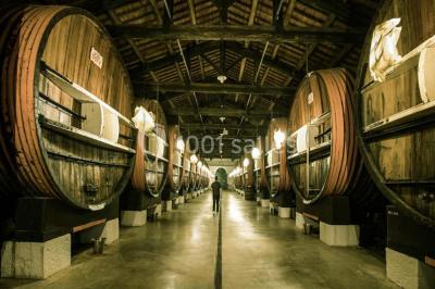 Location salle Marseillan (Hérault) - Noilly Prat #24