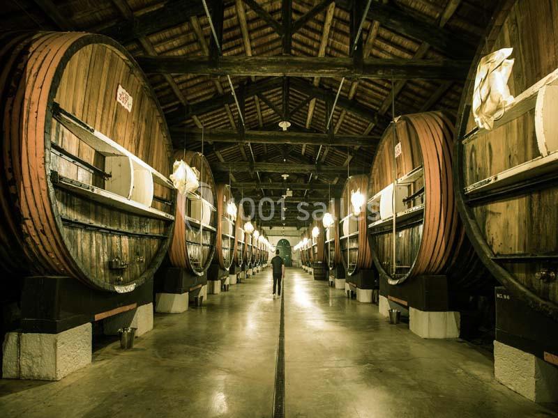 Location salle Marseillan (Hérault) - Noilly Prat #12