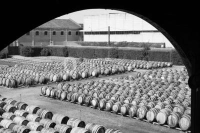 Location salle Marseillan (Hérault) - Noilly Prat #24