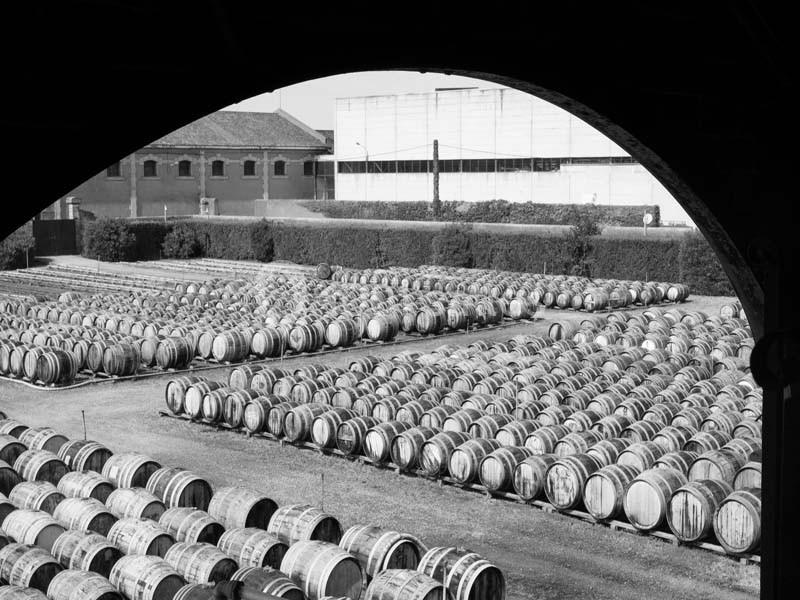 Location salle Marseillan (Hérault) - Noilly Prat #17