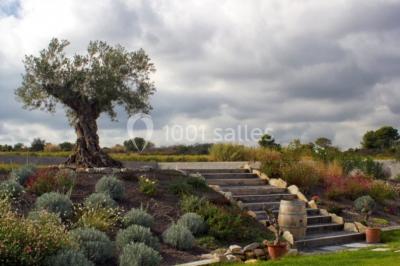 Location salle Cournonterral (Hérault) - Domaine Clos d'Elle #10