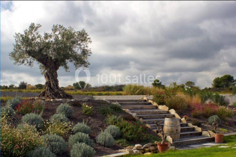 Location salle Cournonterral (Hérault) - Domaine Clos d'Elle #10