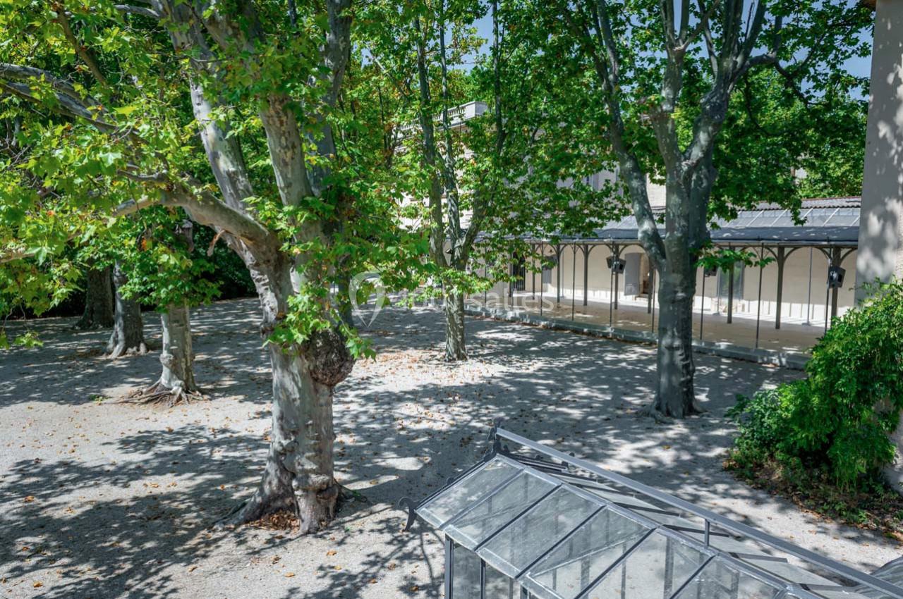 Cour ombragée avec des platanes, sol en gravier et structures vitrées près d'un bâtiment aux arches claires.