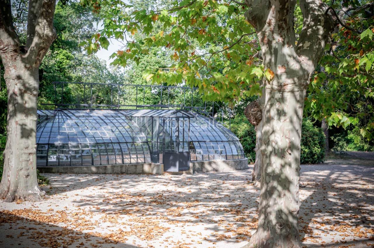 Serre vitrée entourée d'arbres et de feuillage, avec des ombres projetées sur un sol jonché de feuilles.