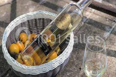 Location salle Mirepeisset (Aude) - Domaine de l'Herbe Sainte #48