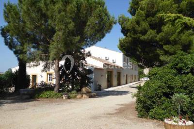 Location salle Mirepeisset (Aude) - Domaine de l'Herbe Sainte #48