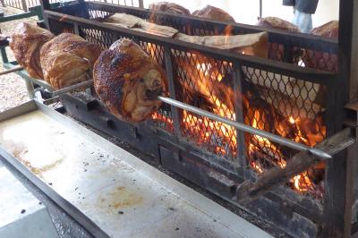 Location salle Mirepeisset (Aude) - Domaine de l'Herbe Sainte #48