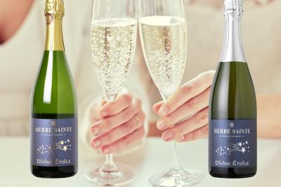 Location salle Mirepeisset (Aude) - Domaine de l'Herbe Sainte #48