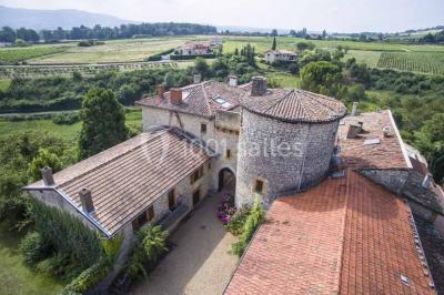 Château du Pin Château du Pin