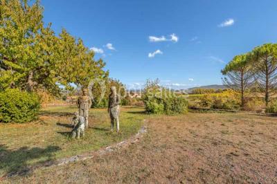 Deux statues humaines et un chien dans un parc verdoyant sous un ciel bleu avec des arbres en arrière-plan.