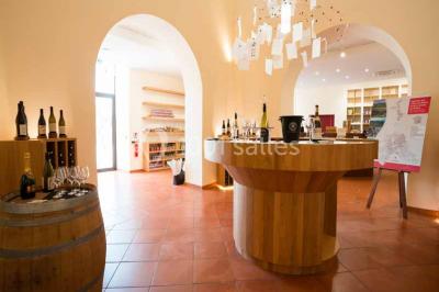 Une voiture bleue traverse un chemin bordé de vignes et de murets en pierre sous un ciel dégagé.