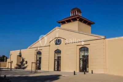 Une voiture bleue traverse un chemin bordé de vignes et de murets en pierre sous un ciel dégagé.