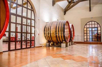 Une voiture bleue traverse un chemin bordé de vignes et de murets en pierre sous un ciel dégagé.