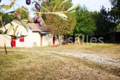 Structure en bois triangulaire devant des bancs disposés en plein air sur une pelouse entourée d'arbres.