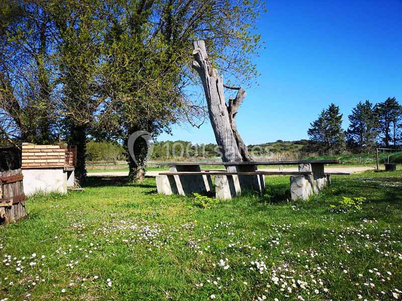 Location salle Calvisson (Gard) - Puech Long Lodge #8