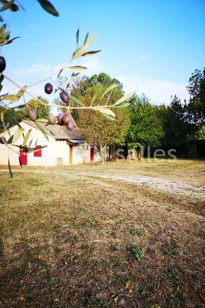 Location salle Calvisson (Gard) - Puech Long Lodge #10