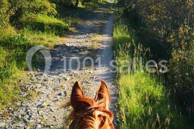 Miniature Location salle Calvisson (Gard) - Puech Long Lodge #15 Location salle Calvisson (Gard) - Puech Long Lodge #15