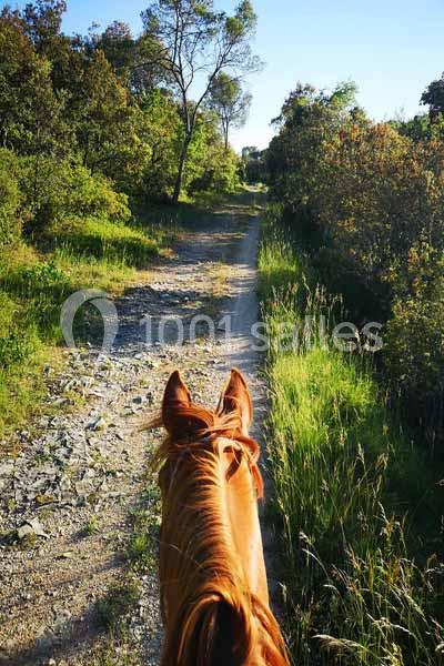 Location salle Calvisson (Gard) - Puech Long Lodge #15