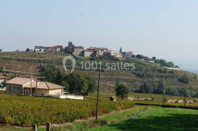 Location salle Saint-Étienne-la-Varenne (Rhône) - Château du Bluizard #9