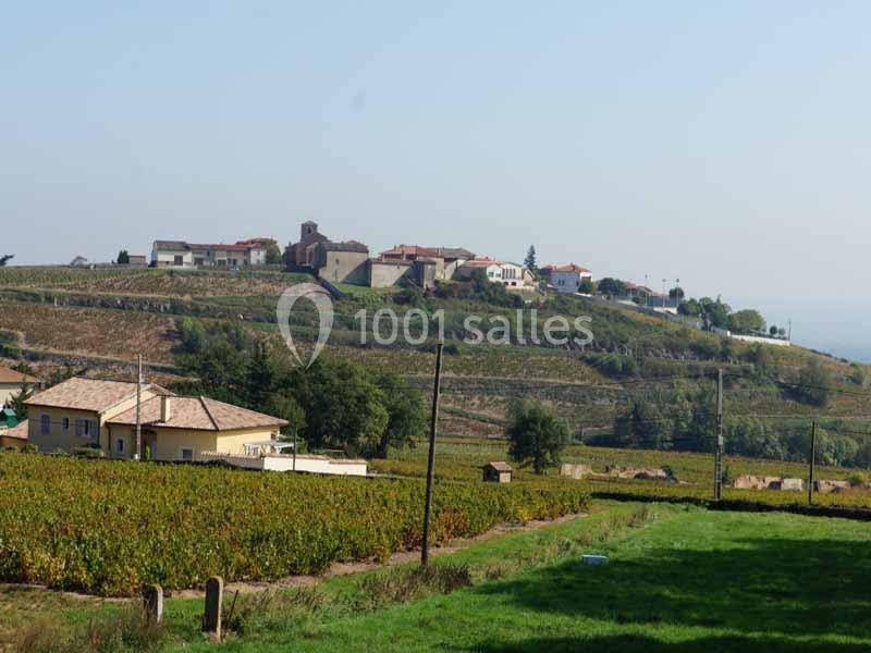 Location salle Saint-Étienne-la-Varenne (Rhône) - Château du Bluizard #2