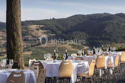 Location salle Saint-Étienne-la-Varenne (Rhône) - Château du Bluizard #9
