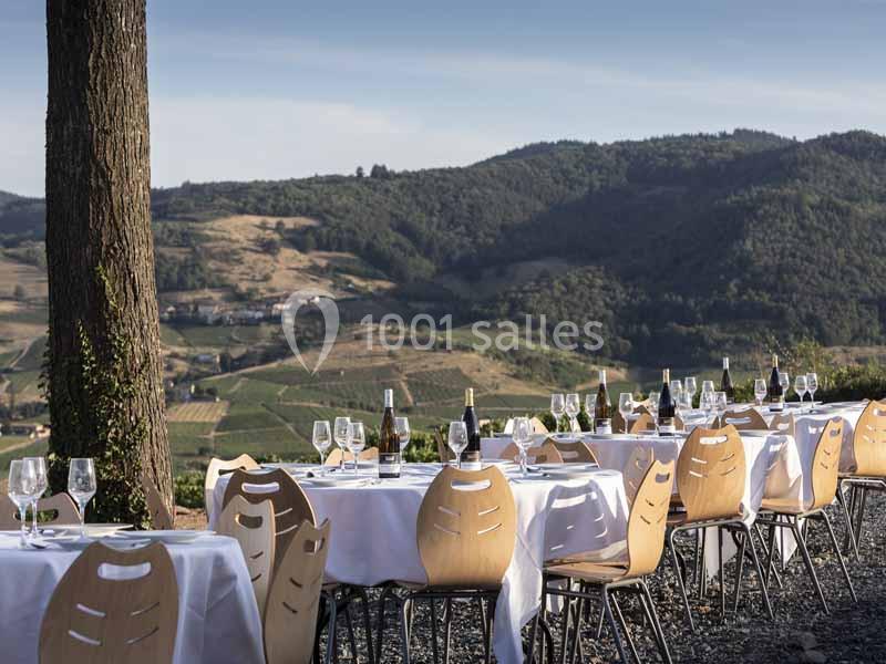 Location salle Saint-Étienne-la-Varenne (Rhône) - Château du Bluizard #8