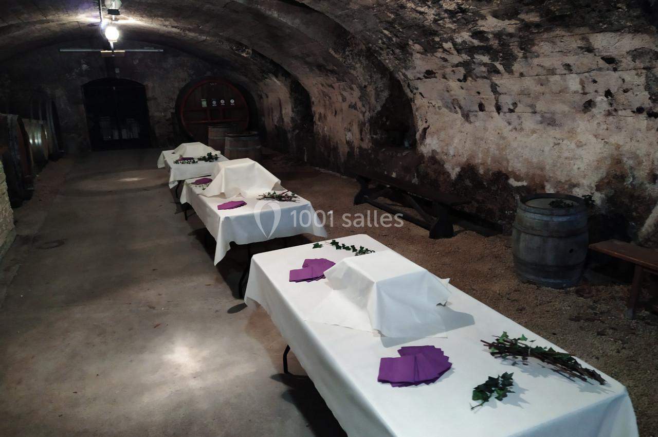 Location salle Saint-Étienne-la-Varenne (Rhône) - Château du Bluizard #4