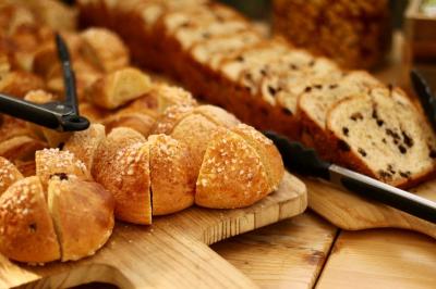 Un plongeur observe deux poissons nageant près d'un fond marin couvert d'algues et de végétation aquatique.
