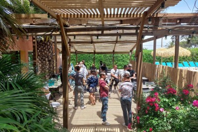 Un plongeur observe deux poissons nageant près d'un fond marin couvert d'algues et de végétation aquatique.