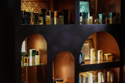 Un plongeur observe deux poissons nageant près d'un fond marin couvert d'algues et de végétation aquatique.