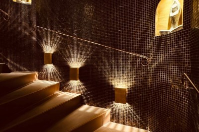 Un plongeur observe deux poissons nageant près d'un fond marin couvert d'algues et de végétation aquatique.