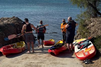 Un plongeur observe deux poissons nageant près d'un fond marin couvert d'algues et de végétation aquatique.
