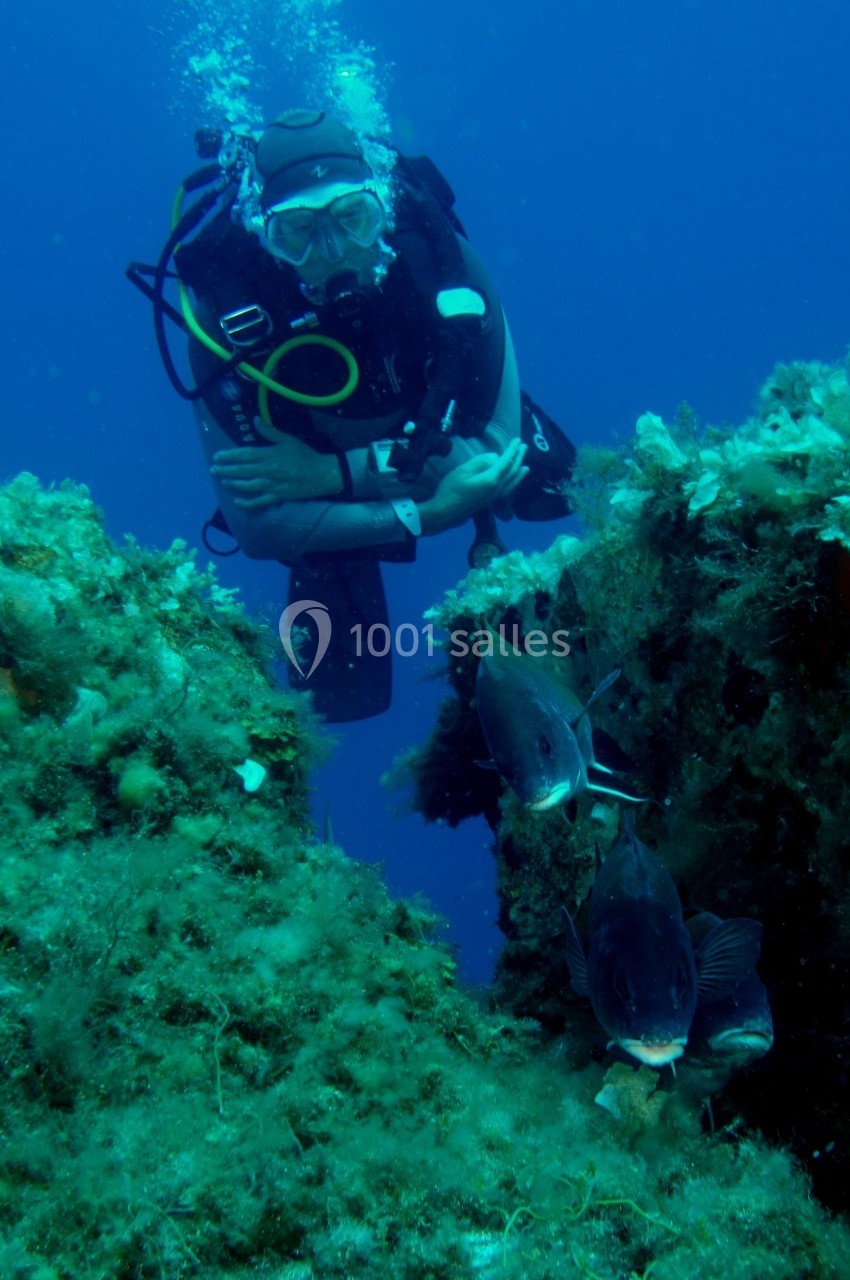 Divin'Giens notre école de plongée Un plongeur explore un fond marin rocheux entouré de végétation et de poissons.