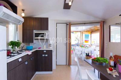 Un plongeur observe deux poissons nageant près d'un fond marin couvert d'algues et de végétation aquatique.