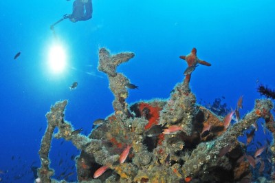 Miniature notre école de plongée Divin'Giens Un plongeur explore un fond marin rocheux entouré de végétation et de poissons.