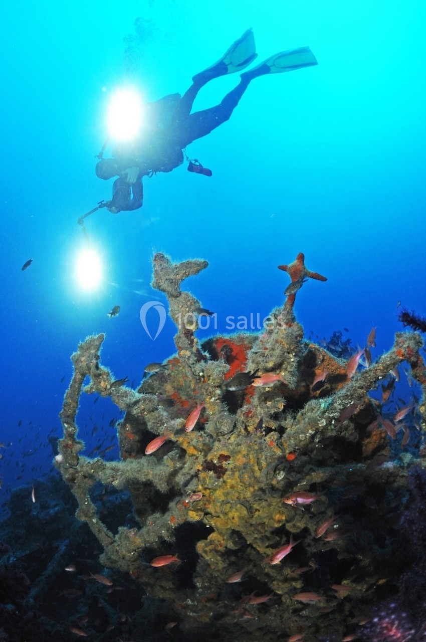 notre école de plongée Divin'Giens Plongeur éclairant une épave sous-marine recouverte de coraux et entourée de poissons dans des eaux claires.