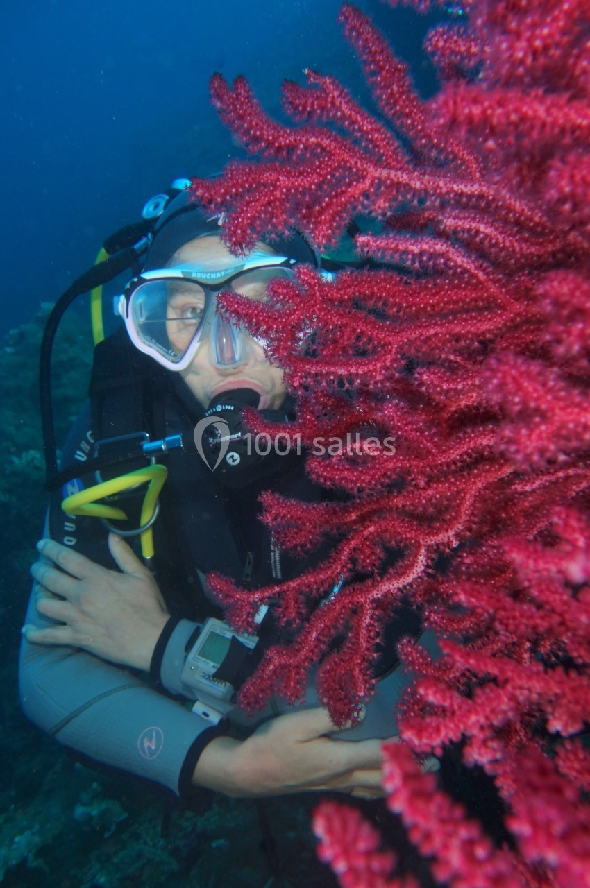 Plongée avec notre école Divin'Giens Plongeur sous-marin observant de près un corail rouge vif dans un environnement aquatique.