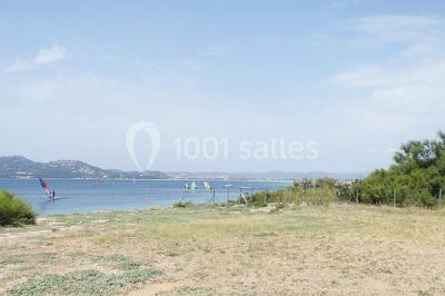 Un plongeur observe deux poissons nageant près d'un fond marin couvert d'algues et de végétation aquatique.