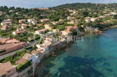Un plongeur observe deux poissons nageant près d'un fond marin couvert d'algues et de végétation aquatique.