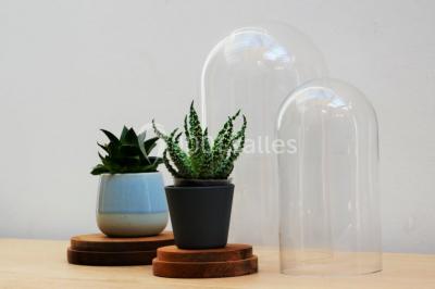 Location salle Dijon (Côte-d'Or) - Les Salons du Cloitre #18