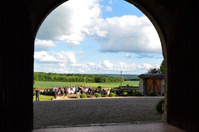 Voitures garées en file sur un terrain herbeux entouré d'arbres par une journée ensoleillée.