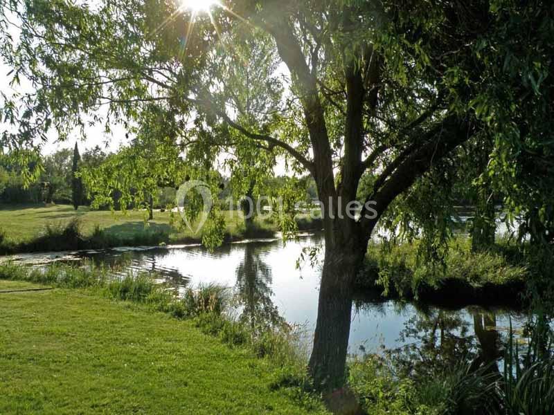 Location salle Arles (Bouches-du-Rhône) - Mas du Marais du Capeau #10