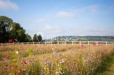 Location salle Blonville-sur-Mer (Calvados) - Domaine Les Planches #24