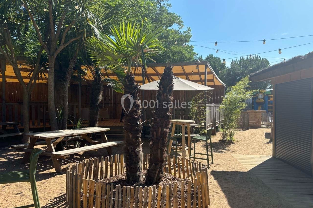 Espace extérieur ensoleillé avec palmiers, tables en bois, parasol et guirlandes lumineuses sous un ciel bleu.